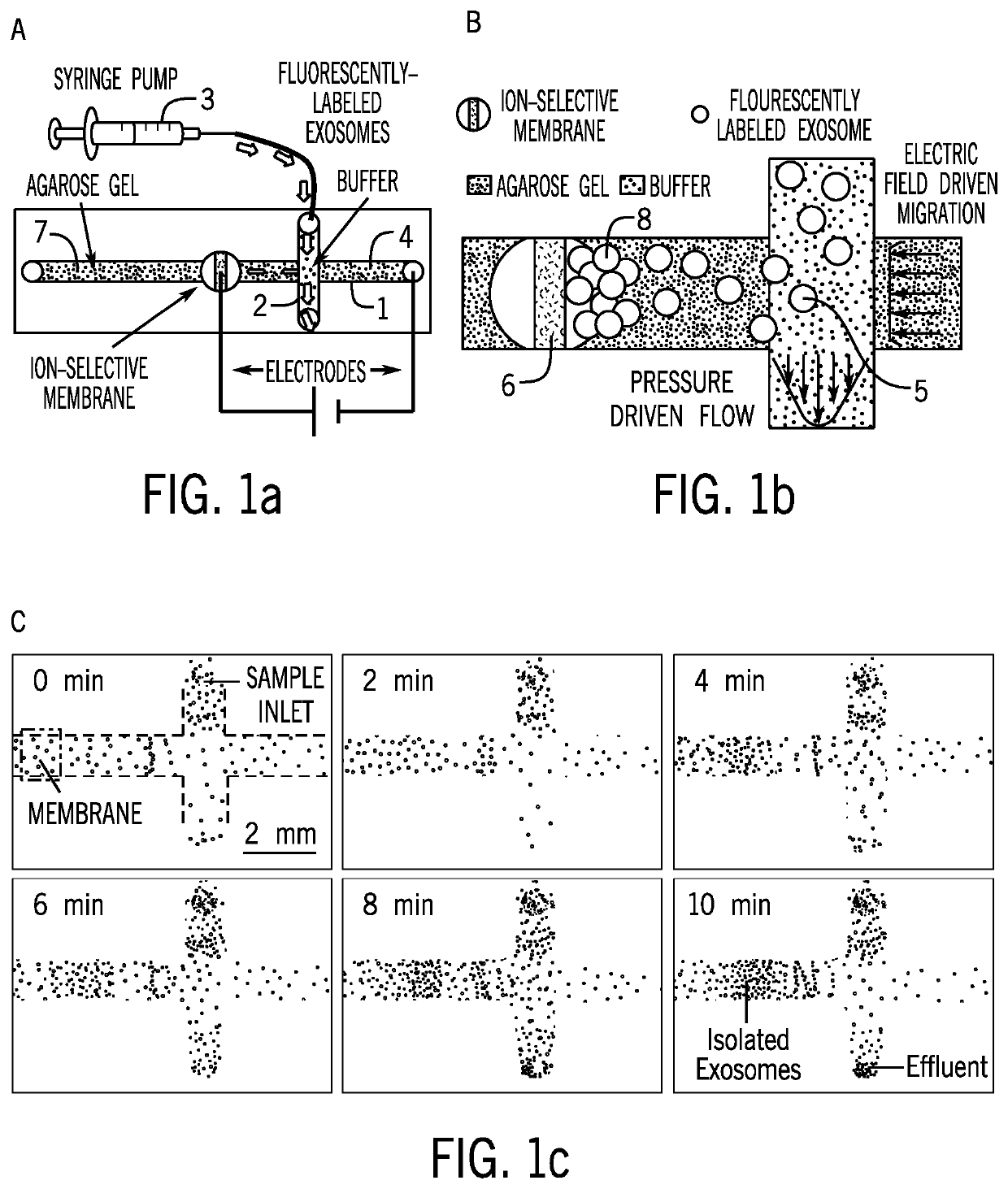 Simultaneous isolation and preconcentration of exosomes by ion concentration polarization method and apparatus