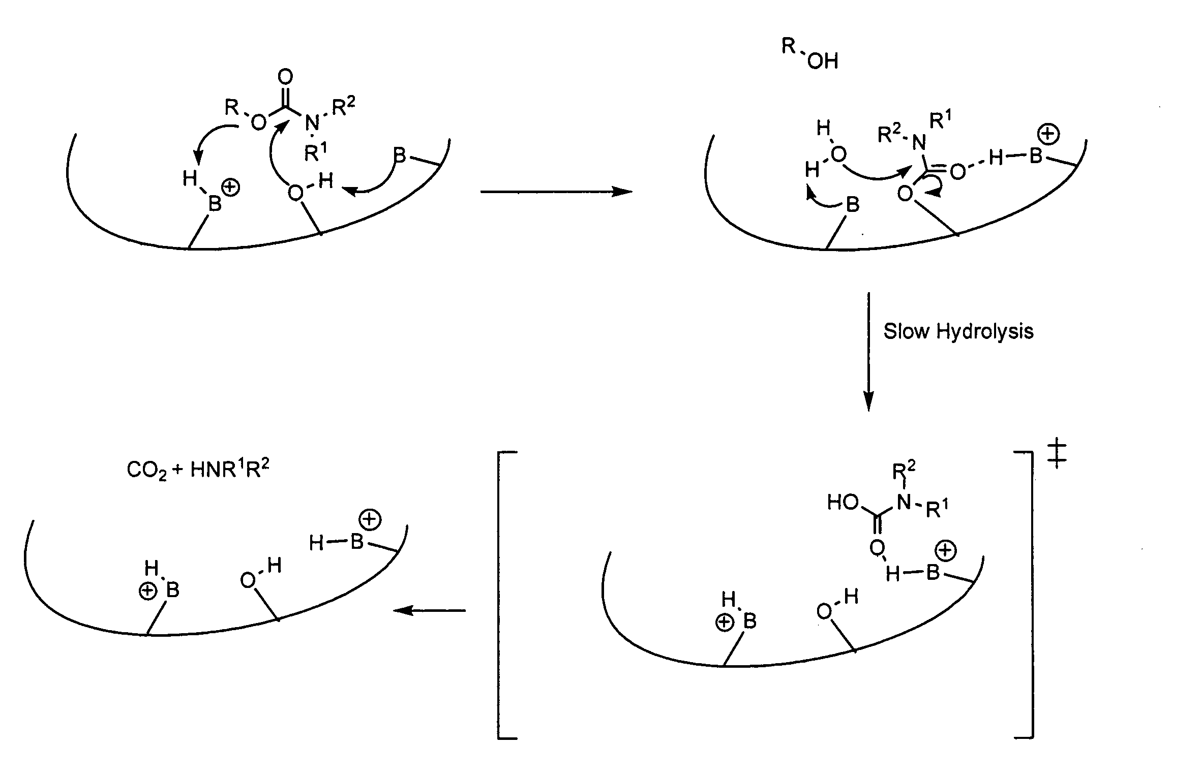 Carbamoyl esters that inhibit cholinesterase and release pharmacologically active agents