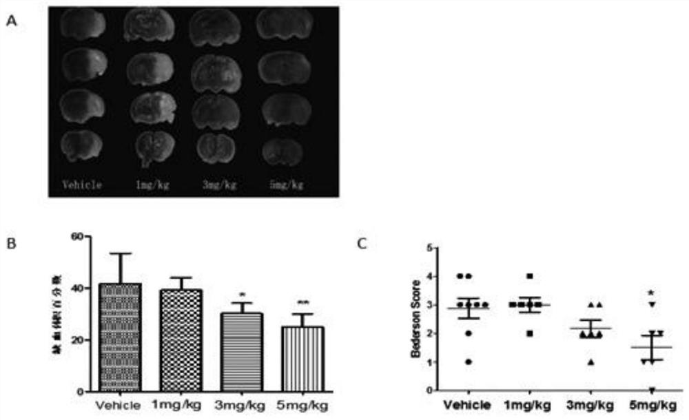 Forest leech antithrombotic peptide sylvestin and its gene and application