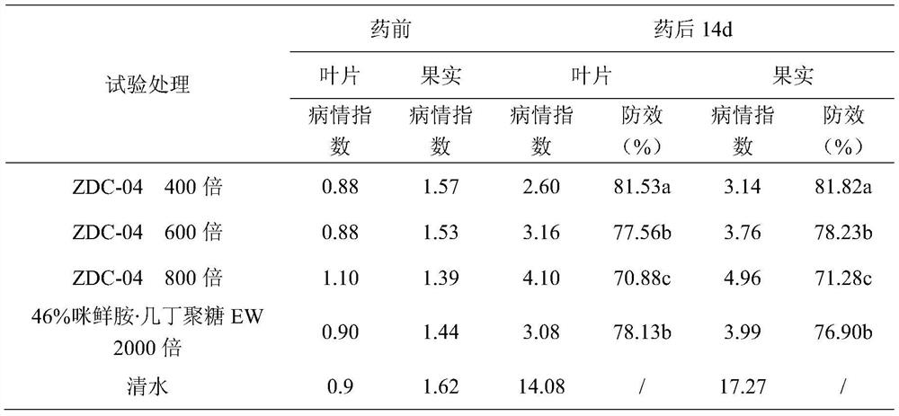 A strain of Paenibacillus jemira inhibiting anthrax and Fusarium and its application