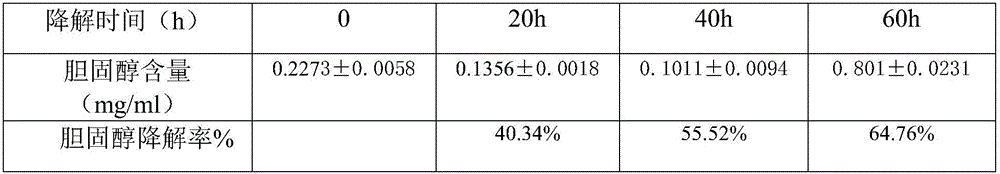 Rose-flavored dry white wine and preparation method thereof