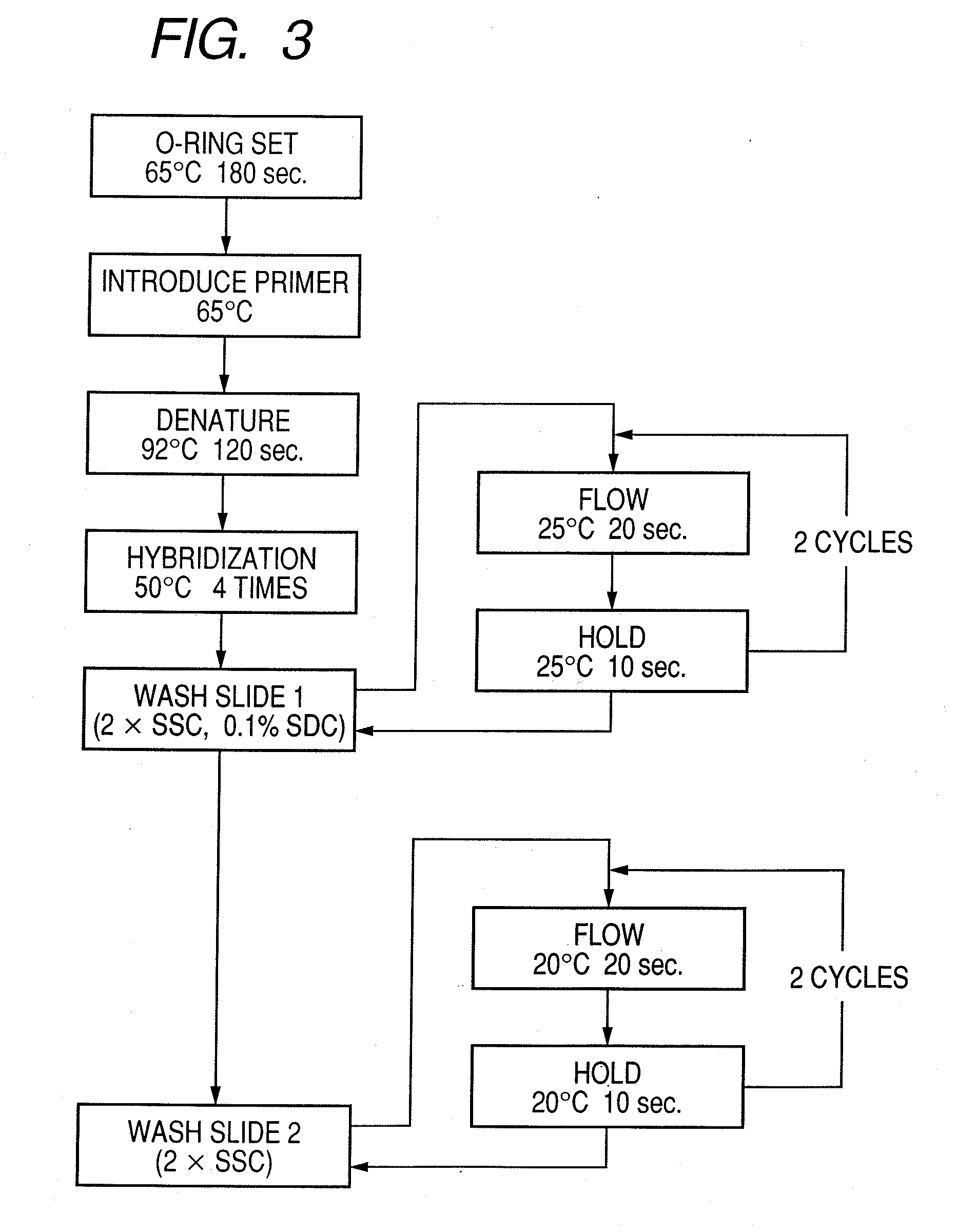 Probe, probe set, probe carrier, and testing method