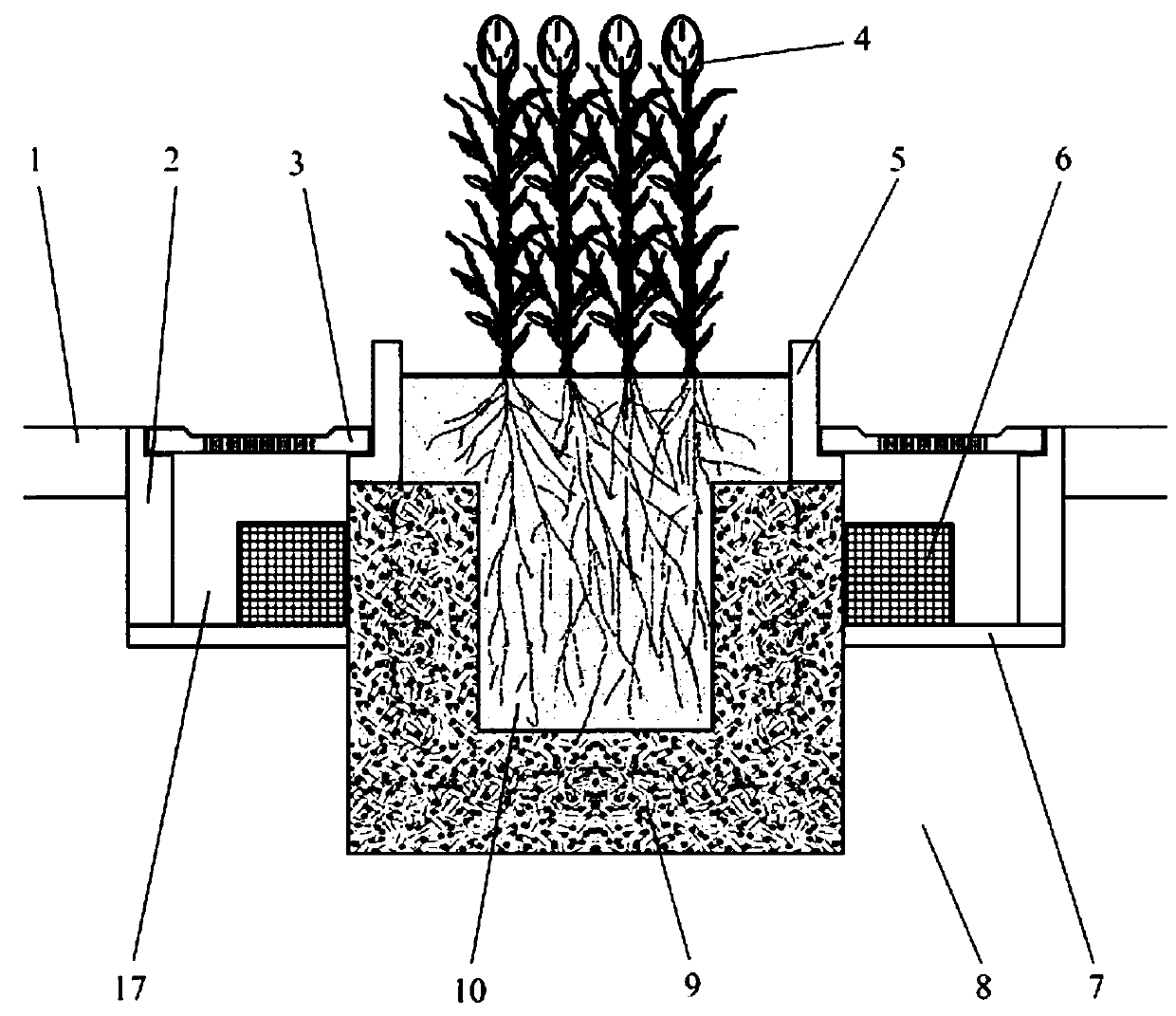 A water storage type urban road median with ecological purification function