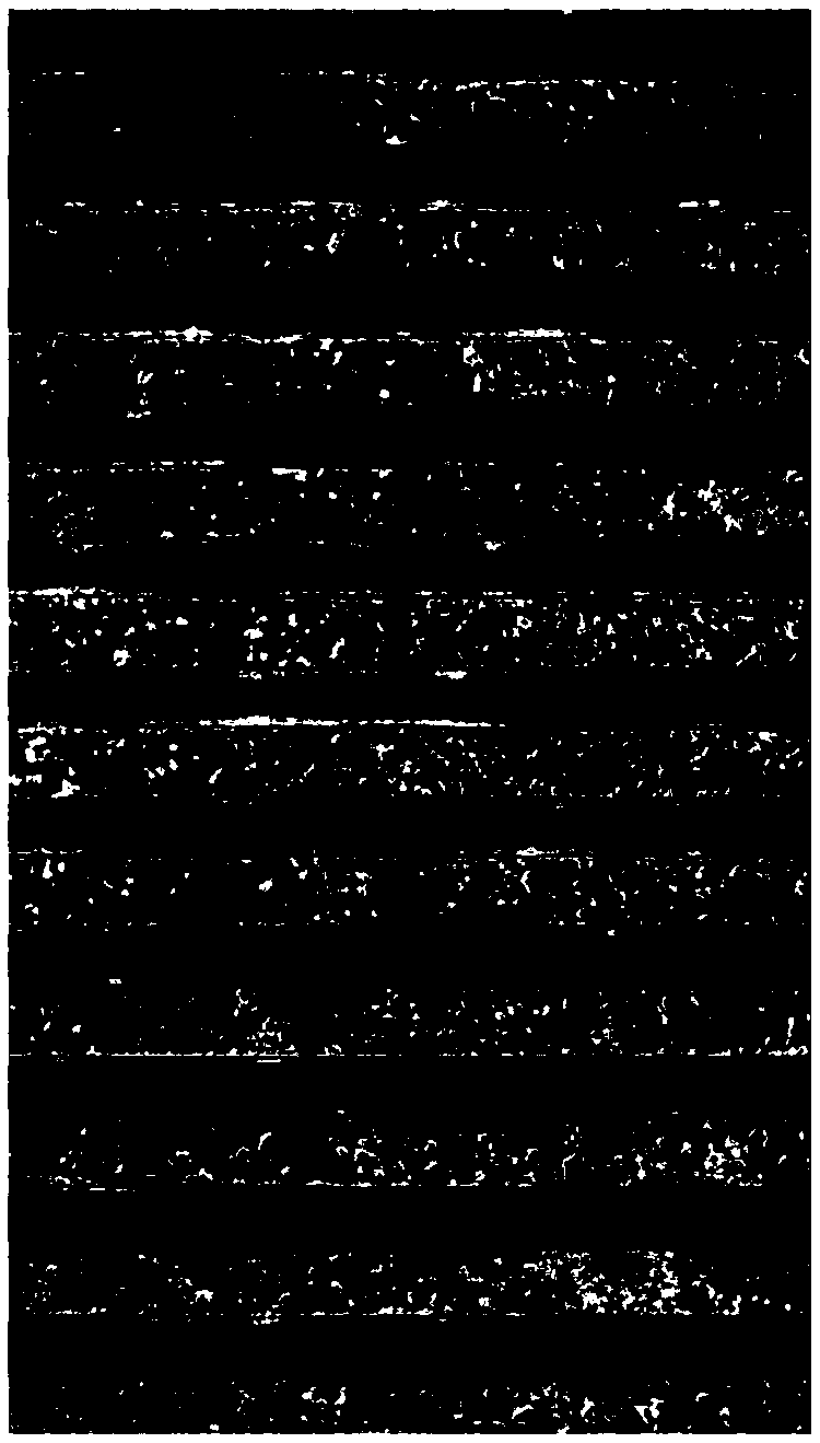 Method for chemically plating metal on copper substrate and printed circuit board and wafer prepared by same