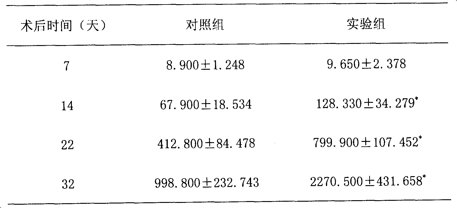 Application of medicinal composition in preparing medicaments for treating fracture