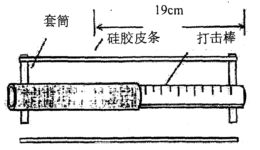 Application of medicinal composition in preparing medicaments for treating fracture