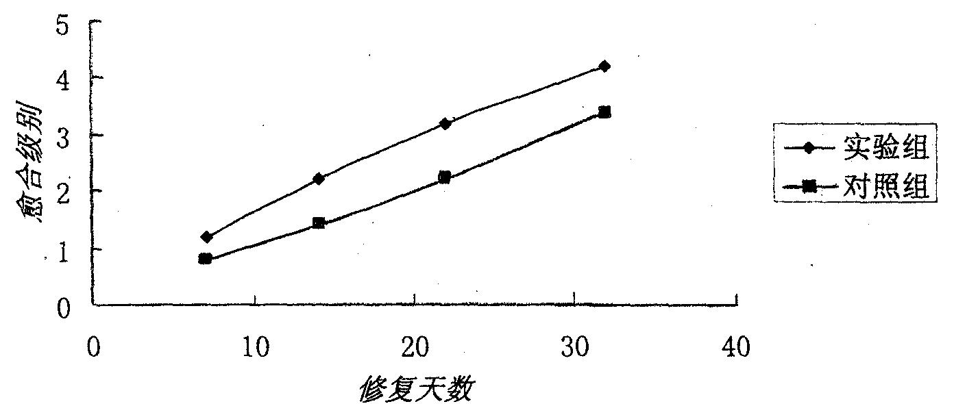 Application of medicinal composition in preparing medicaments for treating fracture