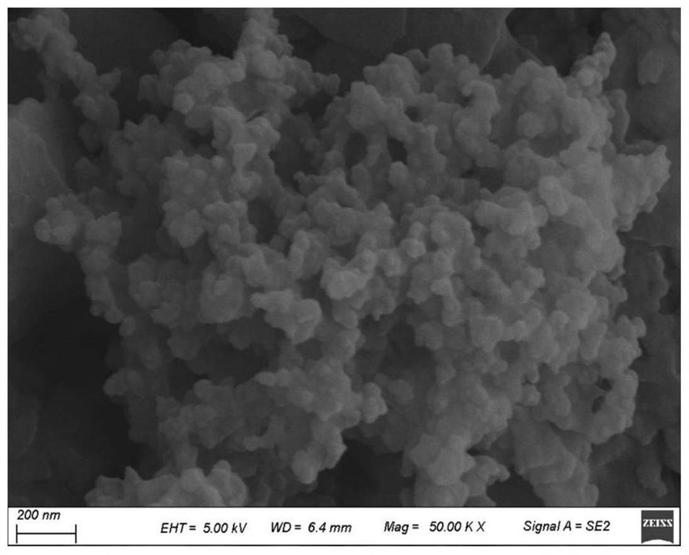 Preparation method and application of poly[2-(3-thienyl)ethanol]/graphite-phase carbon nitride composite visible-light-induced photocatalyst