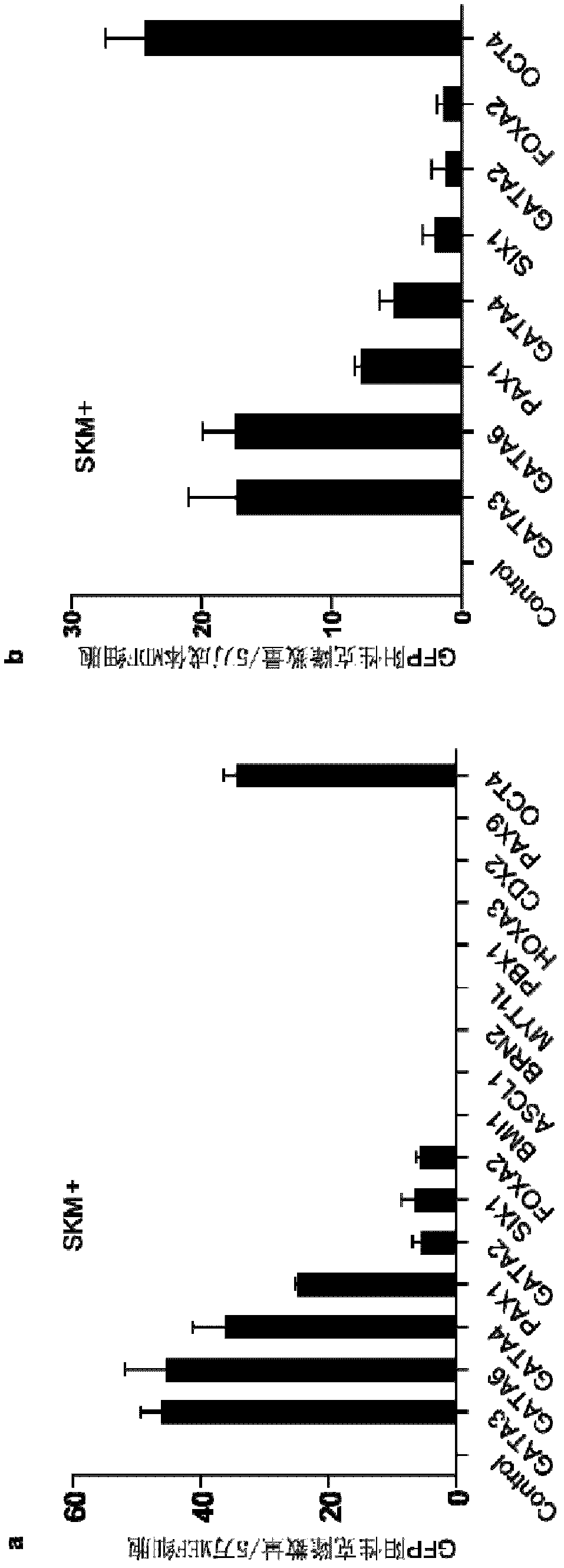 Novel method, kit and application for inducing somatic reprogramming