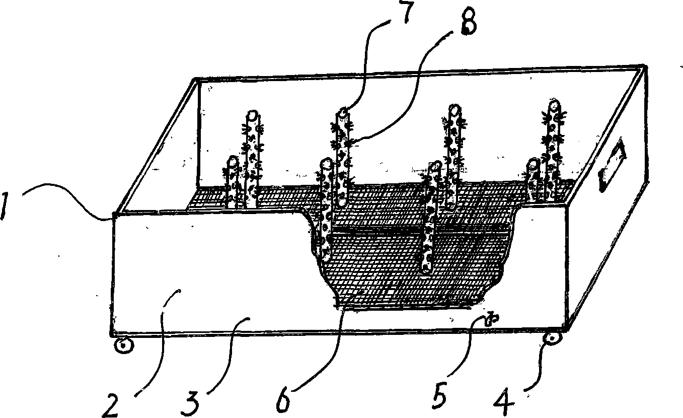 Vegetable-growing box