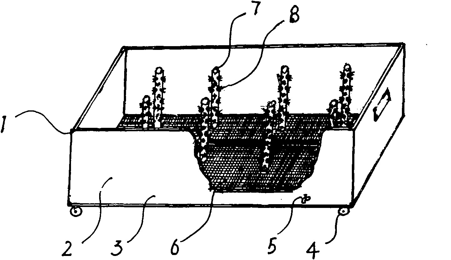 Vegetable-growing box