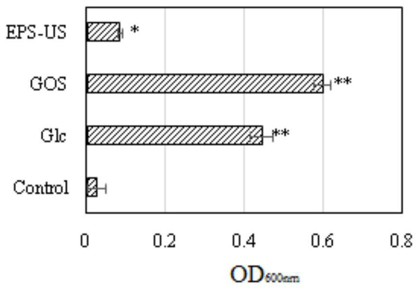 Application of Cordyceps sinensis exopolysaccharide in probiotic health food and/or probiotic traditional Chinese medicine