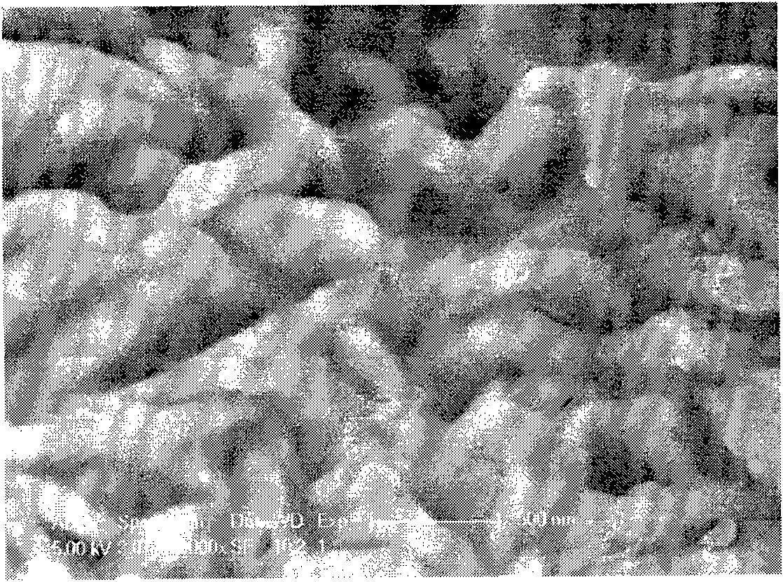 Method for preparing composite anode material LiFePO4/C for lithium ion battery