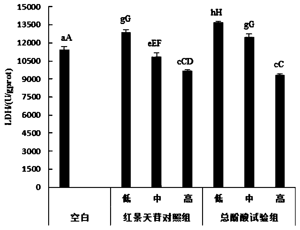 Application of Chaidamu agaricus bitorquis phenolic acid in protecting acute hypoxia injury and chronic hypoxia injury