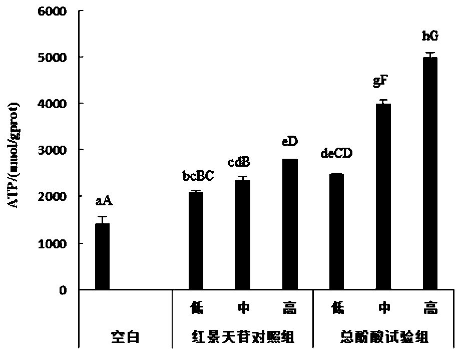 Application of Chaidamu agaricus bitorquis phenolic acid in protecting acute hypoxia injury and chronic hypoxia injury