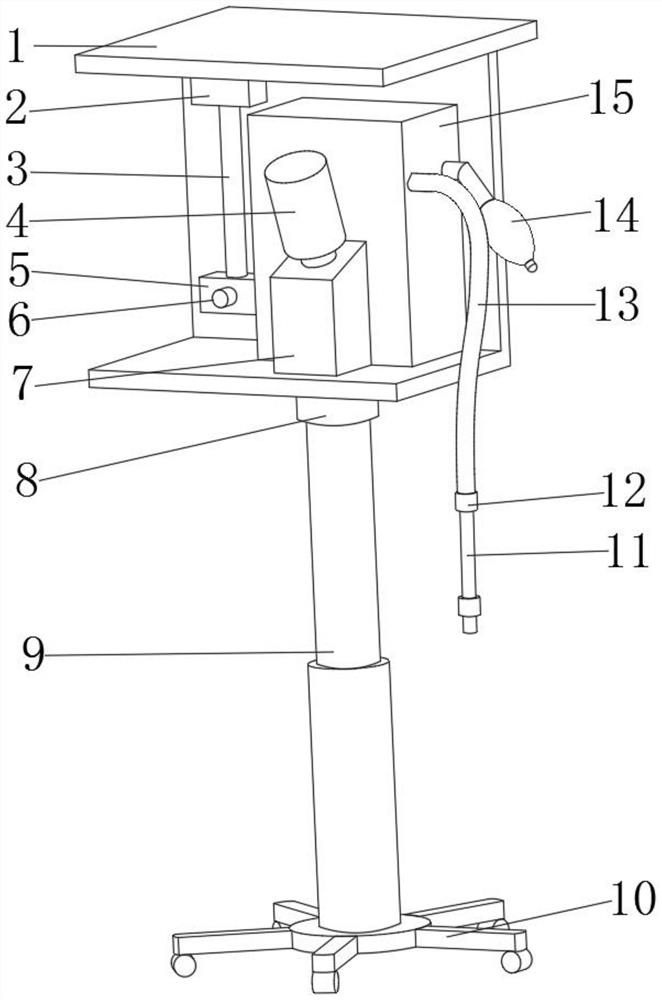 Trachea cannula special for animals and matched with animal respiration anaesthesia machine