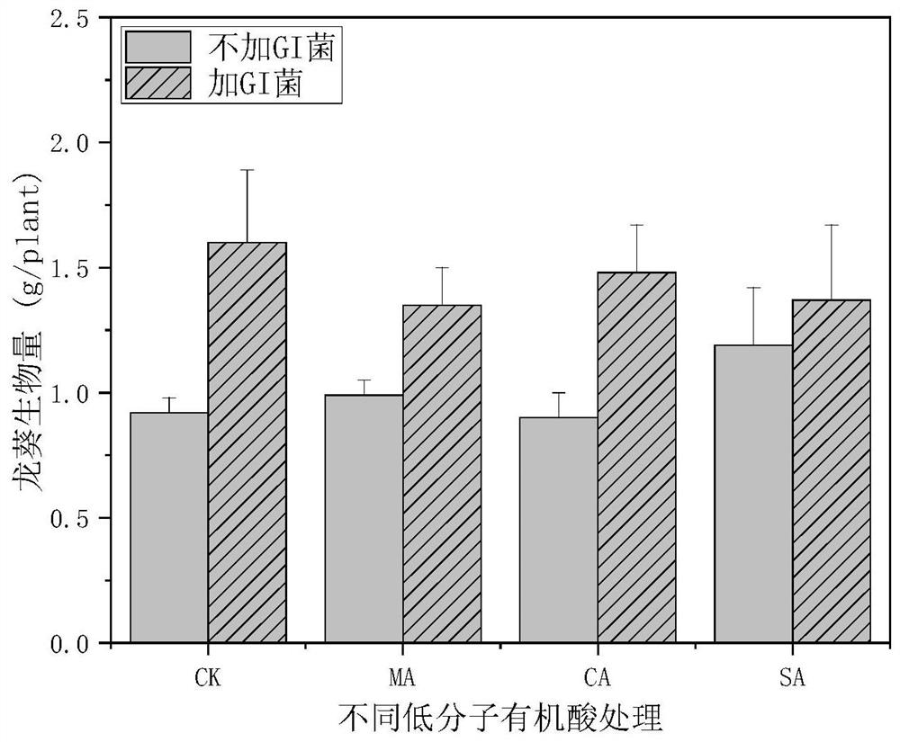 Method for enhancing colonization of enterobacter cloacae Y16 in plant root system