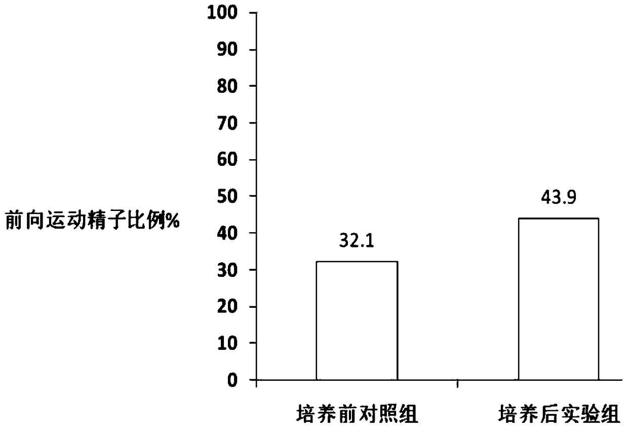 An in vitro culture system kit for improving human sperm motility and its application