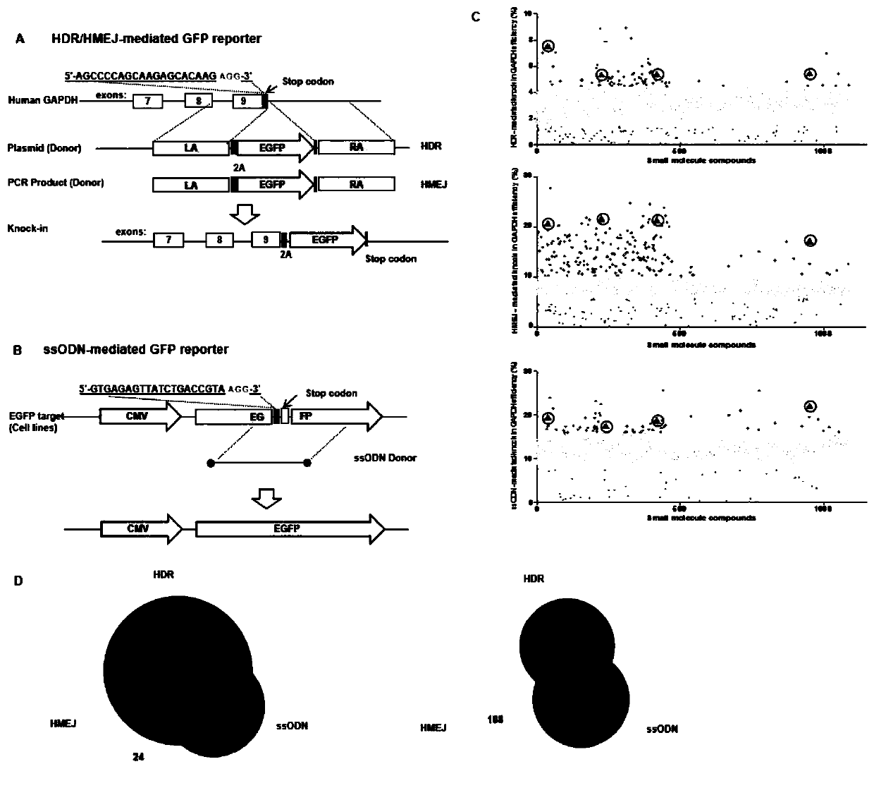 Method for improving efficiency of genome site-directed modification by using small molecular compounds