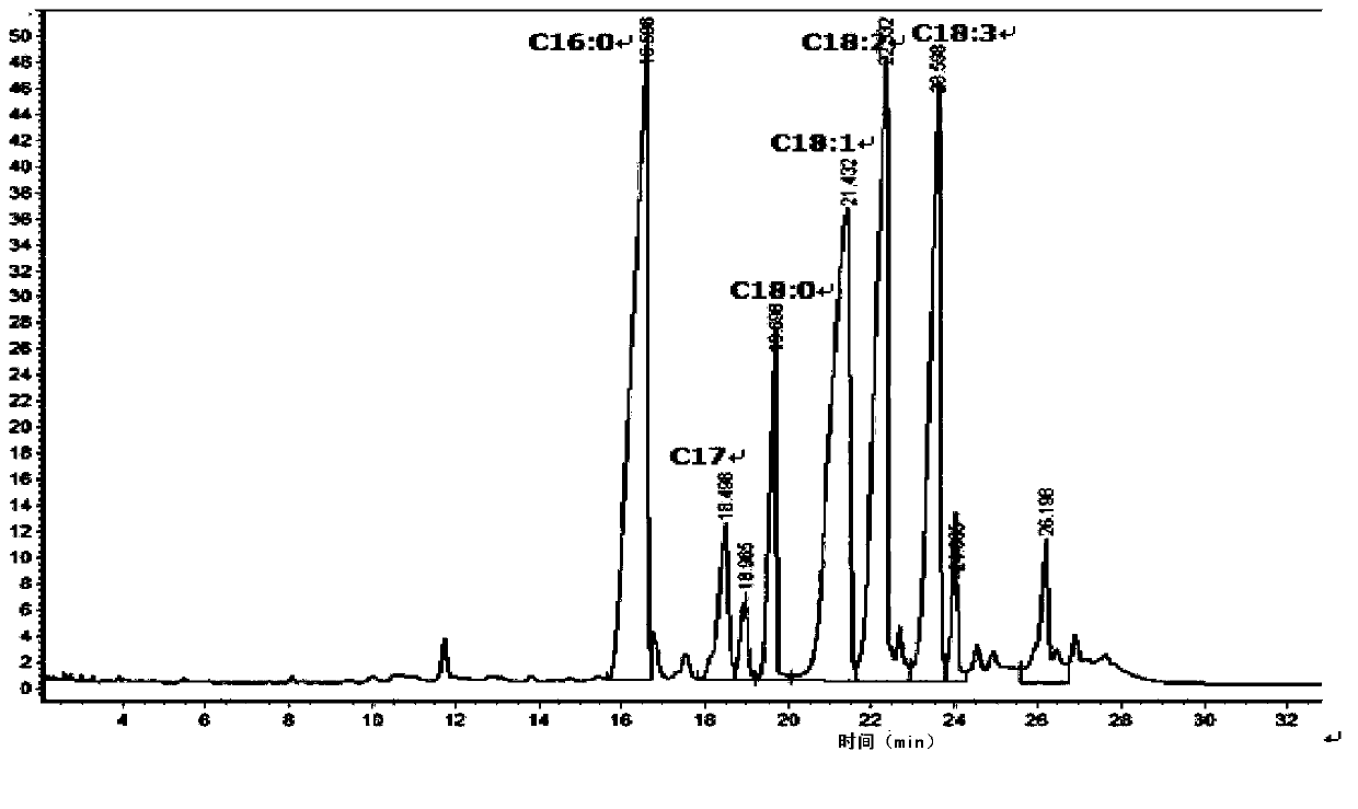 Method for production of microalgal energy (biodiesel) raw material from Haematococcus sp.