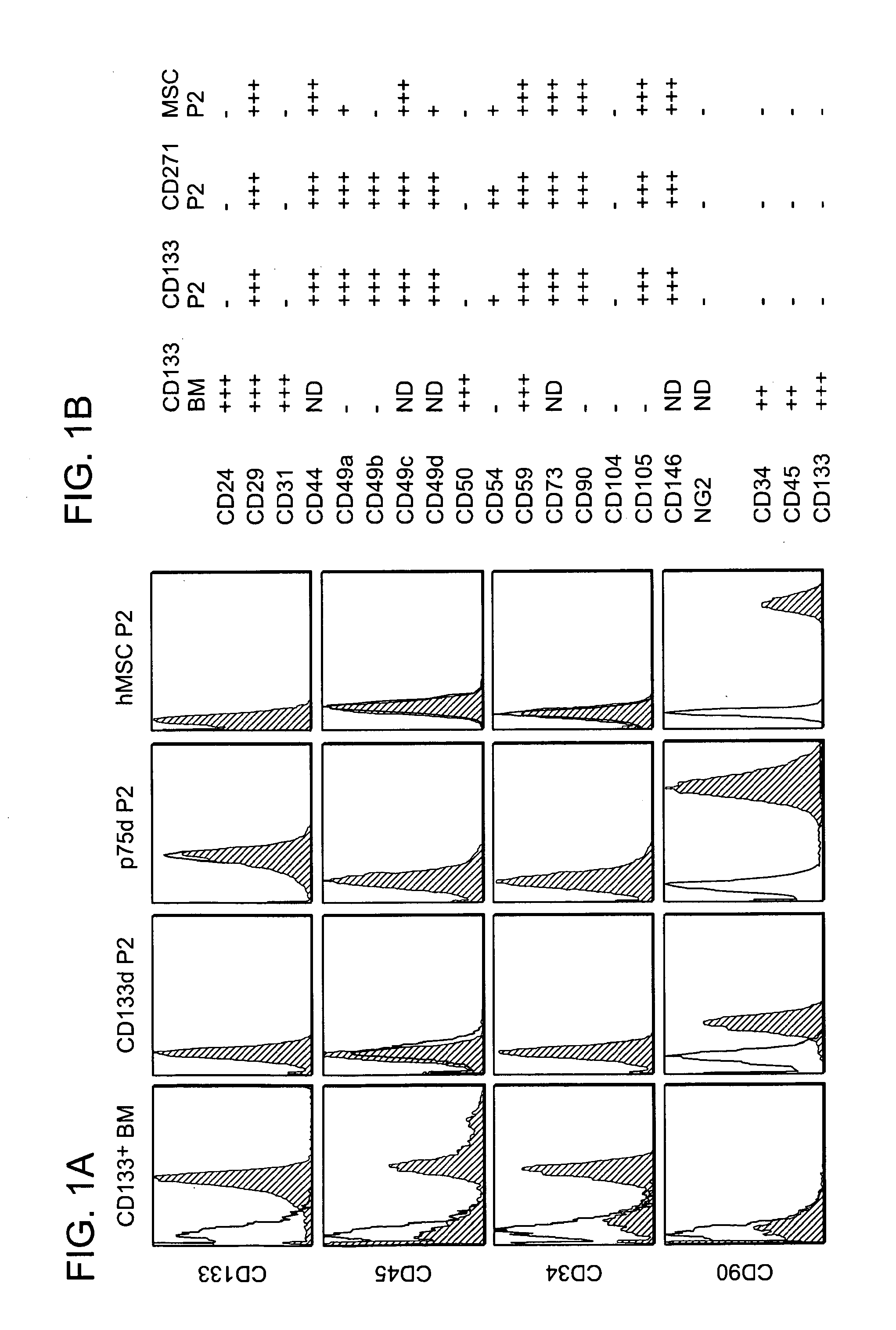 Compositions and methods for tissue repair