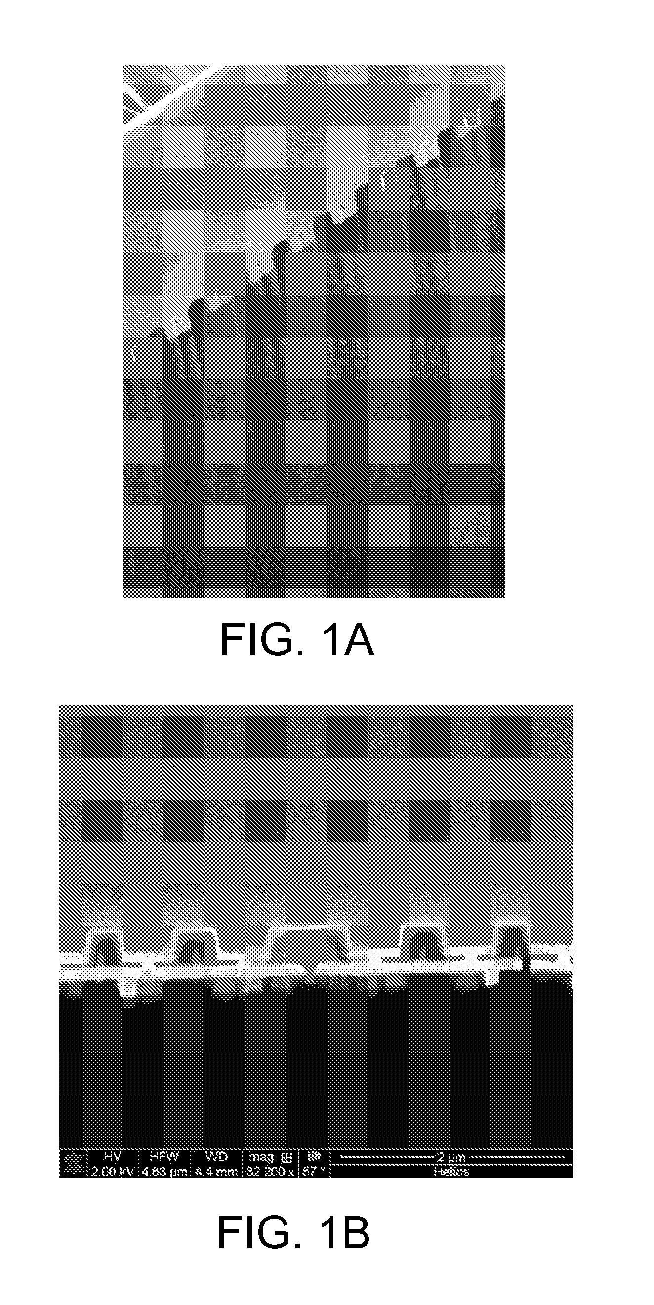 TEM sample preparation