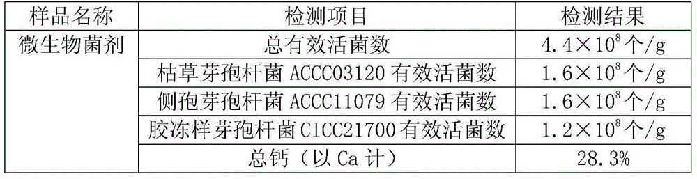 Soil improvement microbial agent and preparation method thereof