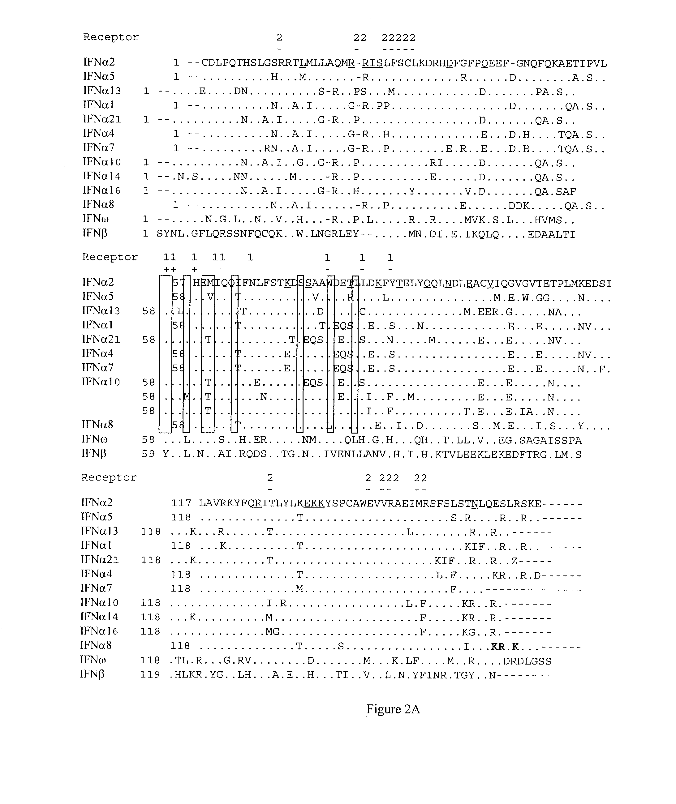 Recombinant interferon alpha2 (ifnalpha2) mutants and methods of use thereof