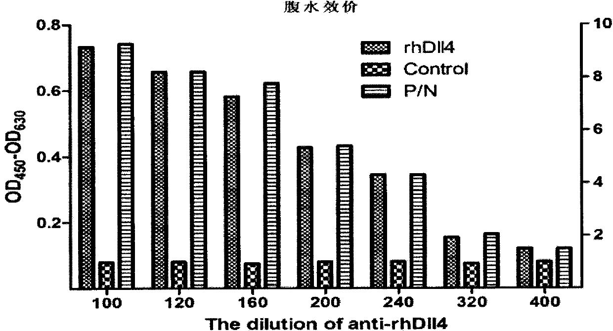 Anti-human Delta like4 monoclonal antibody