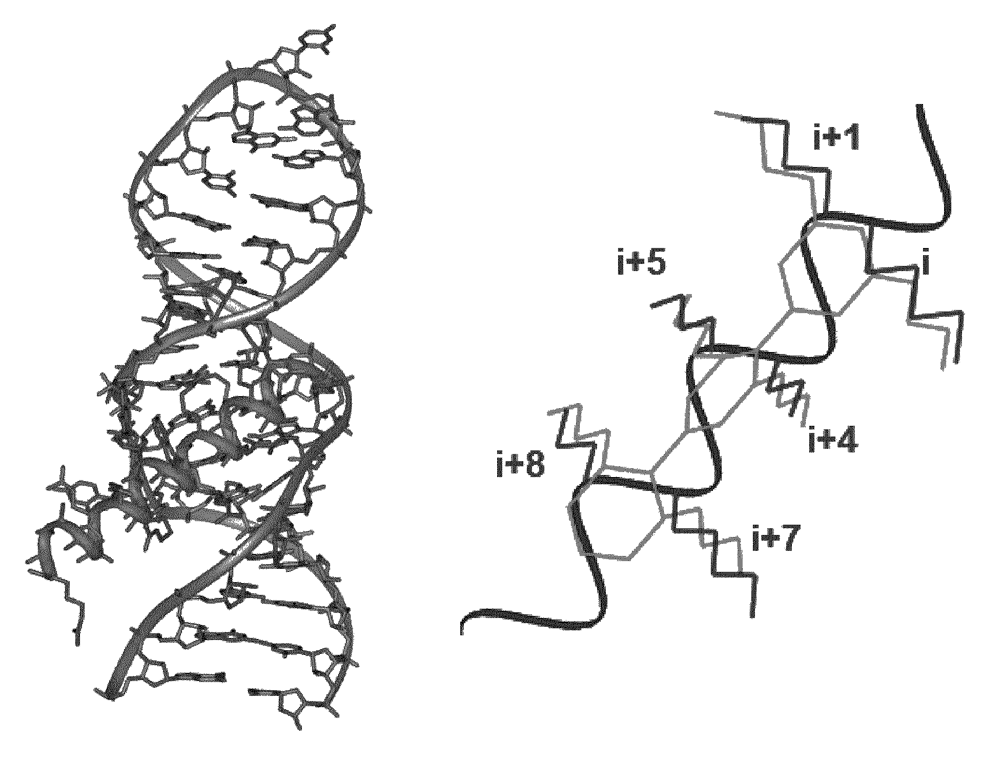 Bilaterally-substituted tricyclic compounds for the treatment of human immunodeficiency virus type-1 (HIV-1) infection and other diseases