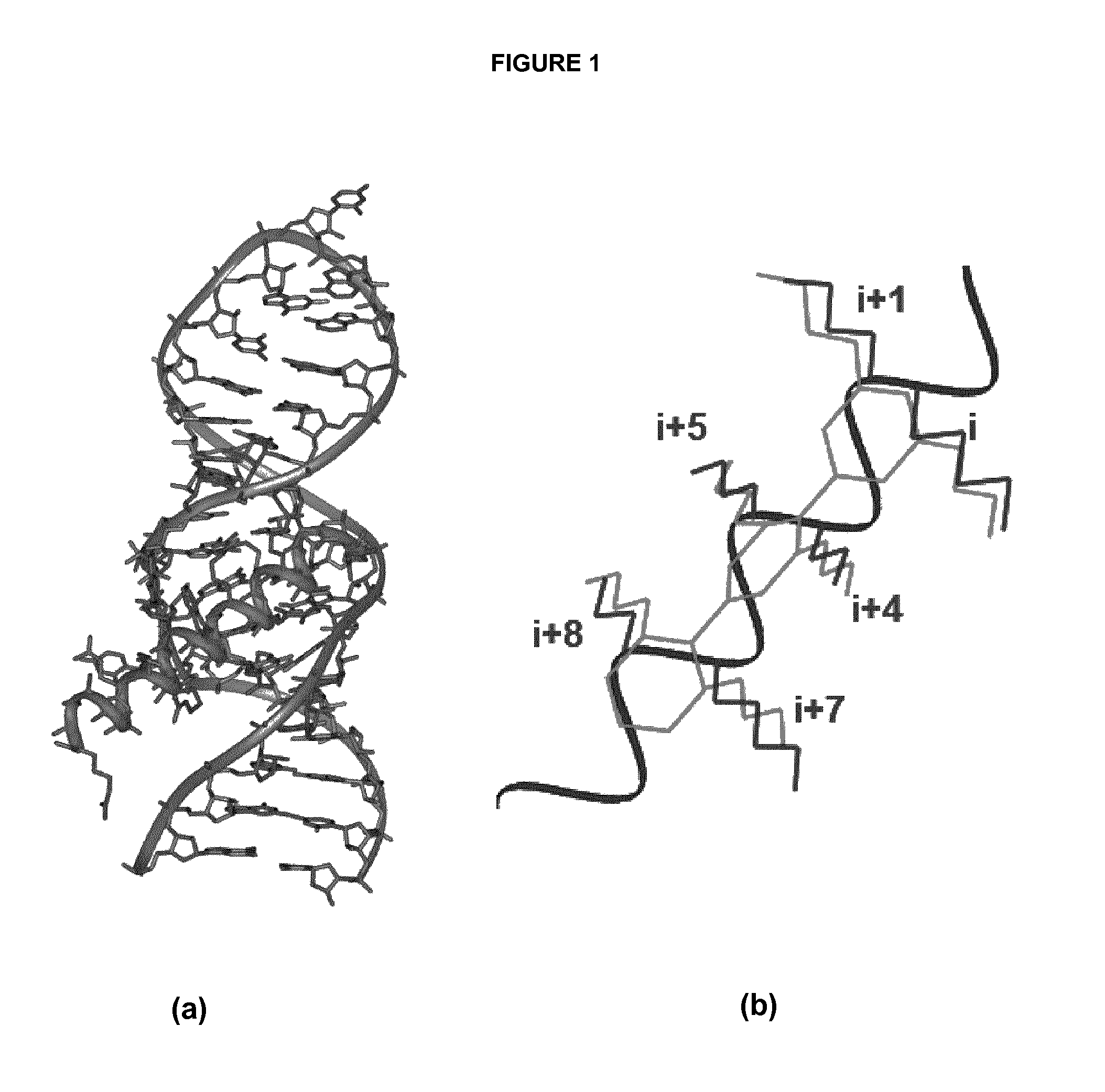 Bilaterally-substituted tricyclic compounds for the treatment of human immunodeficiency virus type-1 (HIV-1) infection and other diseases