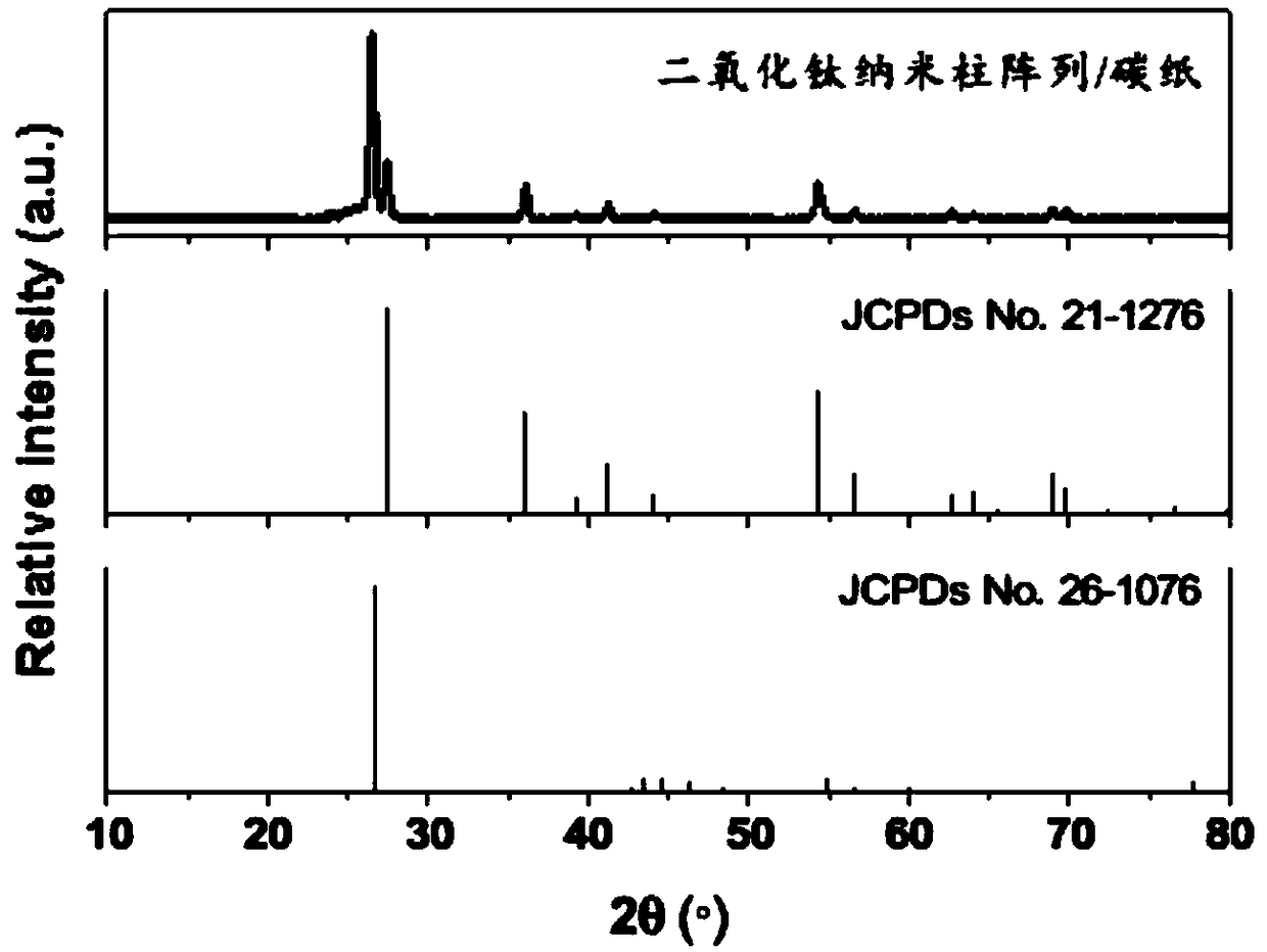 Nanosilver modified titanium dioxide nanorod array enzyme electrode and preparation method and application thereof