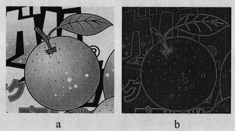 Method and system for generating edge seam path and edge seam topological structure of raster image