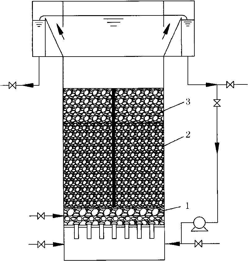 Biological aerated filter with three filter layers