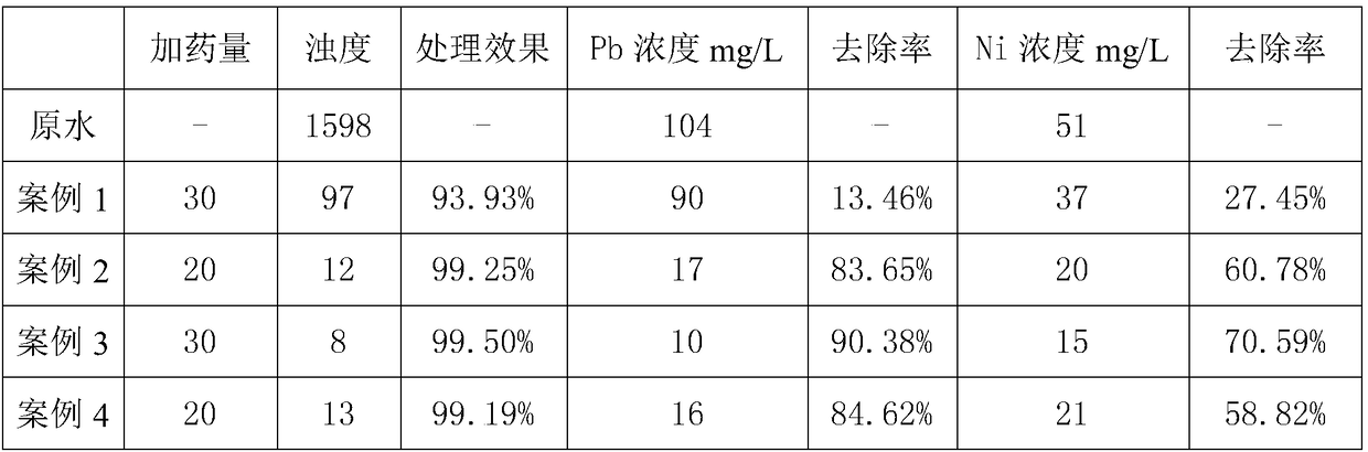 Nanoparticle structure magnetic water purifier and preparation method thereof