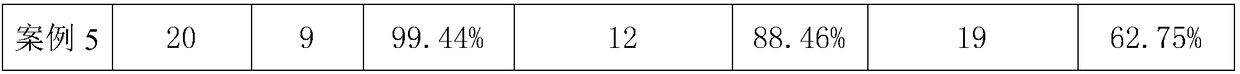 Nanoparticle structure magnetic water purifier and preparation method thereof