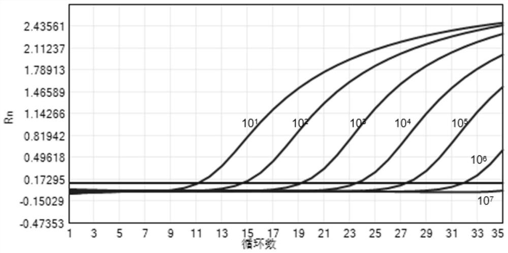 Method for rapid quantification of high-throughput sequencing library of MGI platform and kit