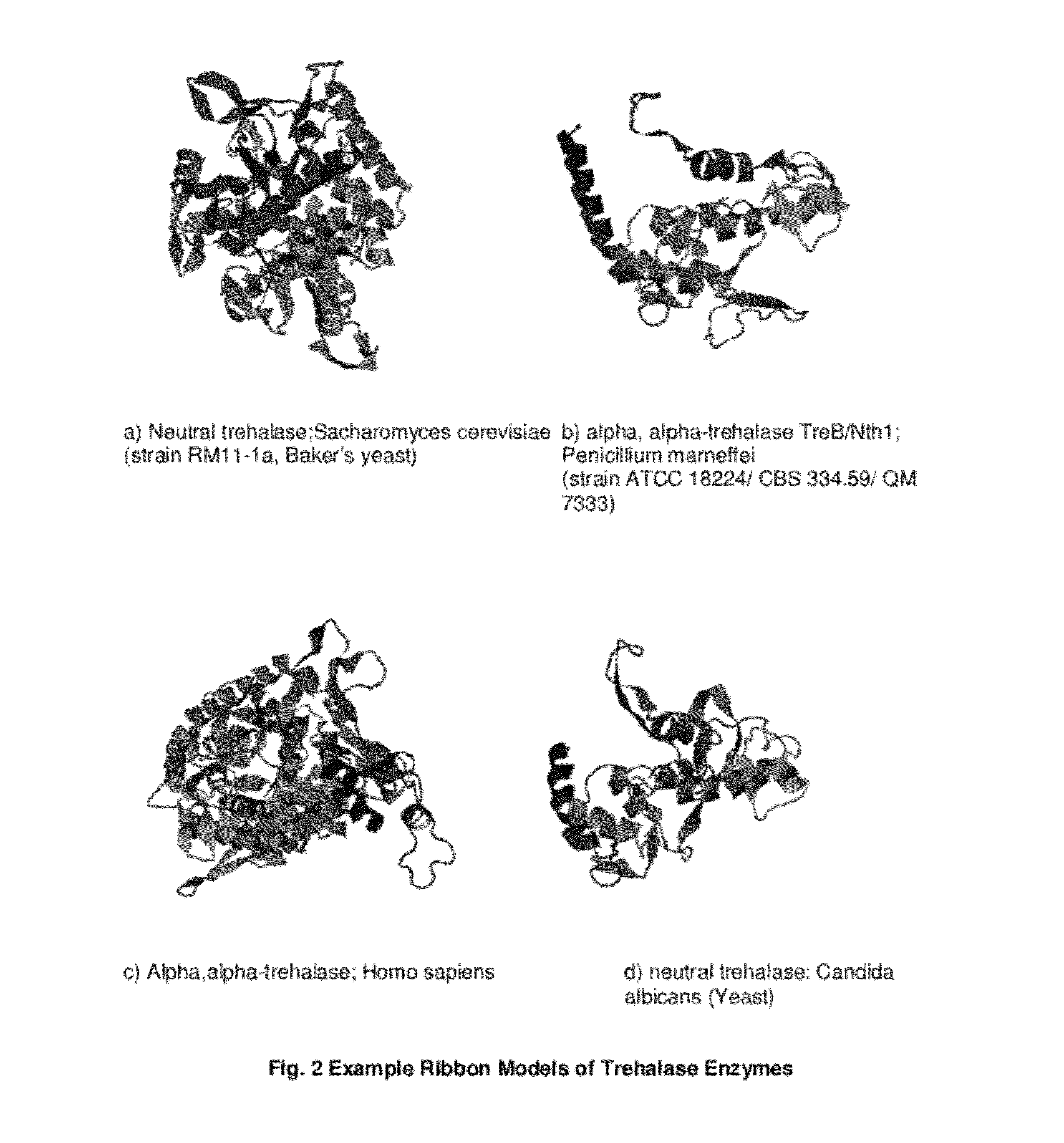 Compositions and Methods to Prevent and Treat Biofilms