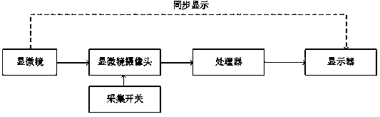 Pathological image processing method and system