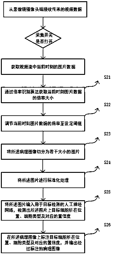 Pathological image processing method and system