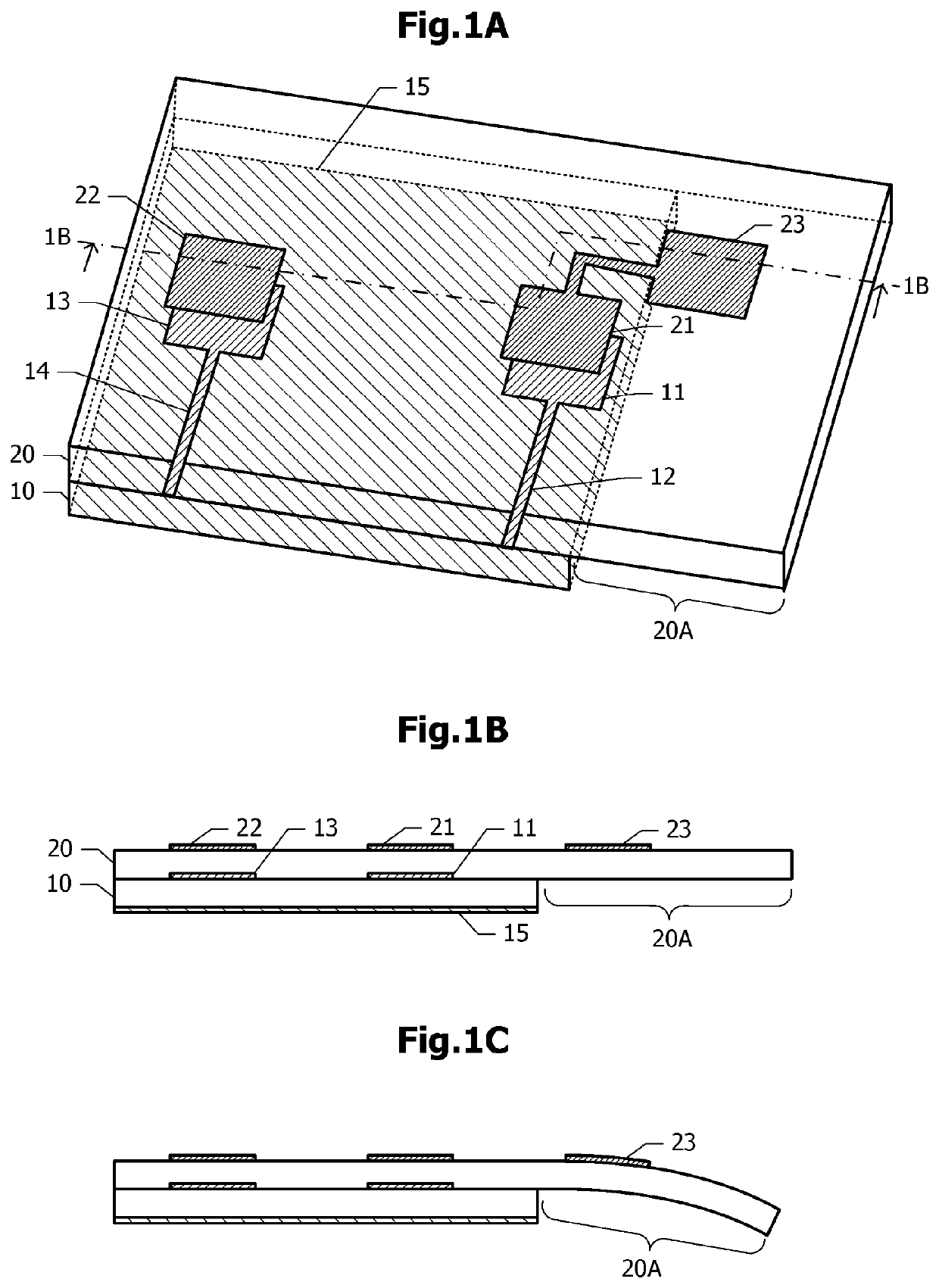 Antenna apparatus, antenna module, and wireless apparatus