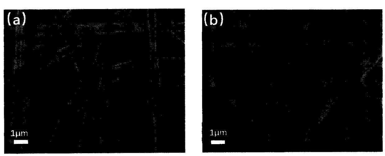 Polyacrylonitrile/polyacrylic acid nanofiber lithium sulfur battery diaphragm with controllable pore structure