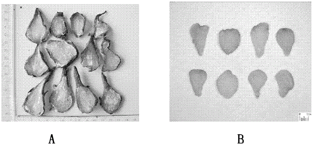 A method for processing gallbladder-free tablets