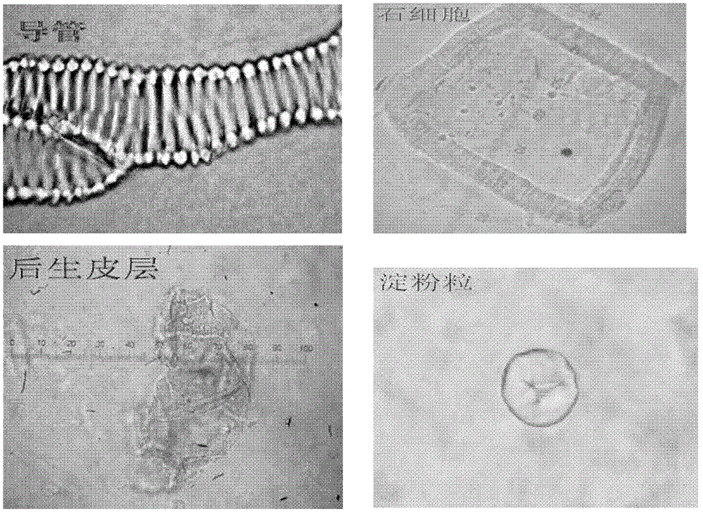 A method for processing gallbladder-free tablets