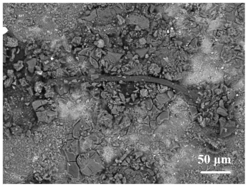 A kind of marine microbial fouling laser cleaning method for decontamination and antifouling