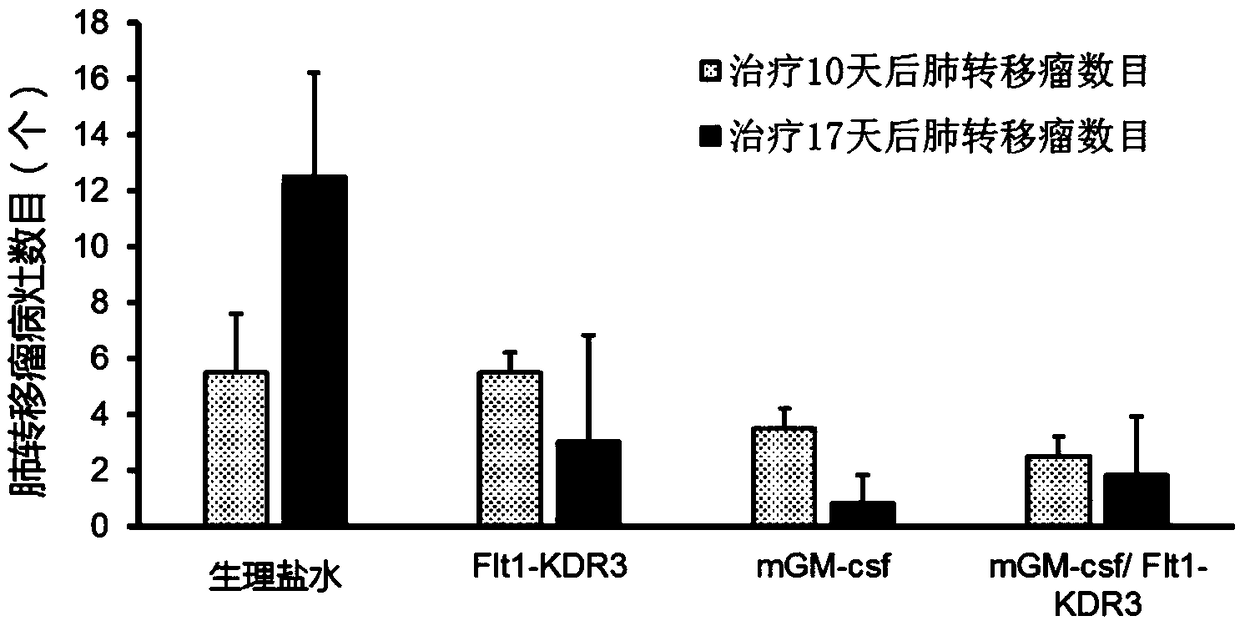 Cationic lipidosome compound coating plasmid DNA (deoxyribonucleic acid)