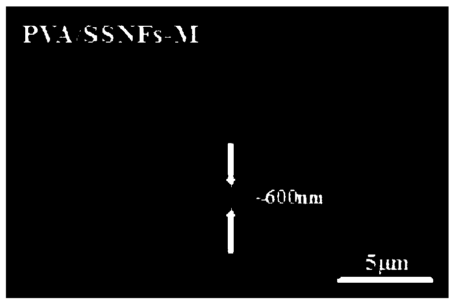 Nanofiber-based composite hemodialysis membrane and preparation method thereof