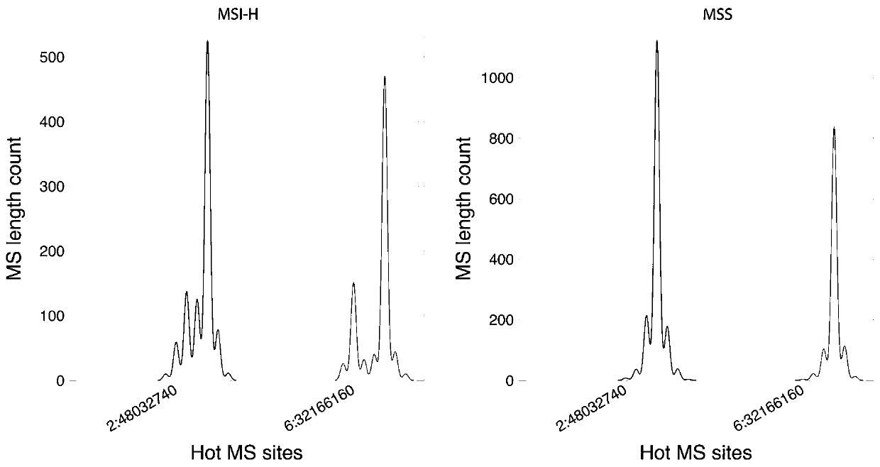 Microsatellite unstable site screening and analysis model construction method and device