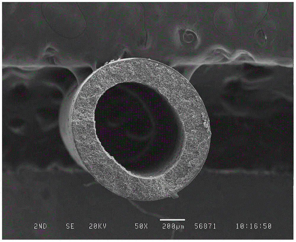 Polymer resin composition for preparing hollow fiber membrane, preparation method of hollow fiber membrane, and hollow fiber membrane