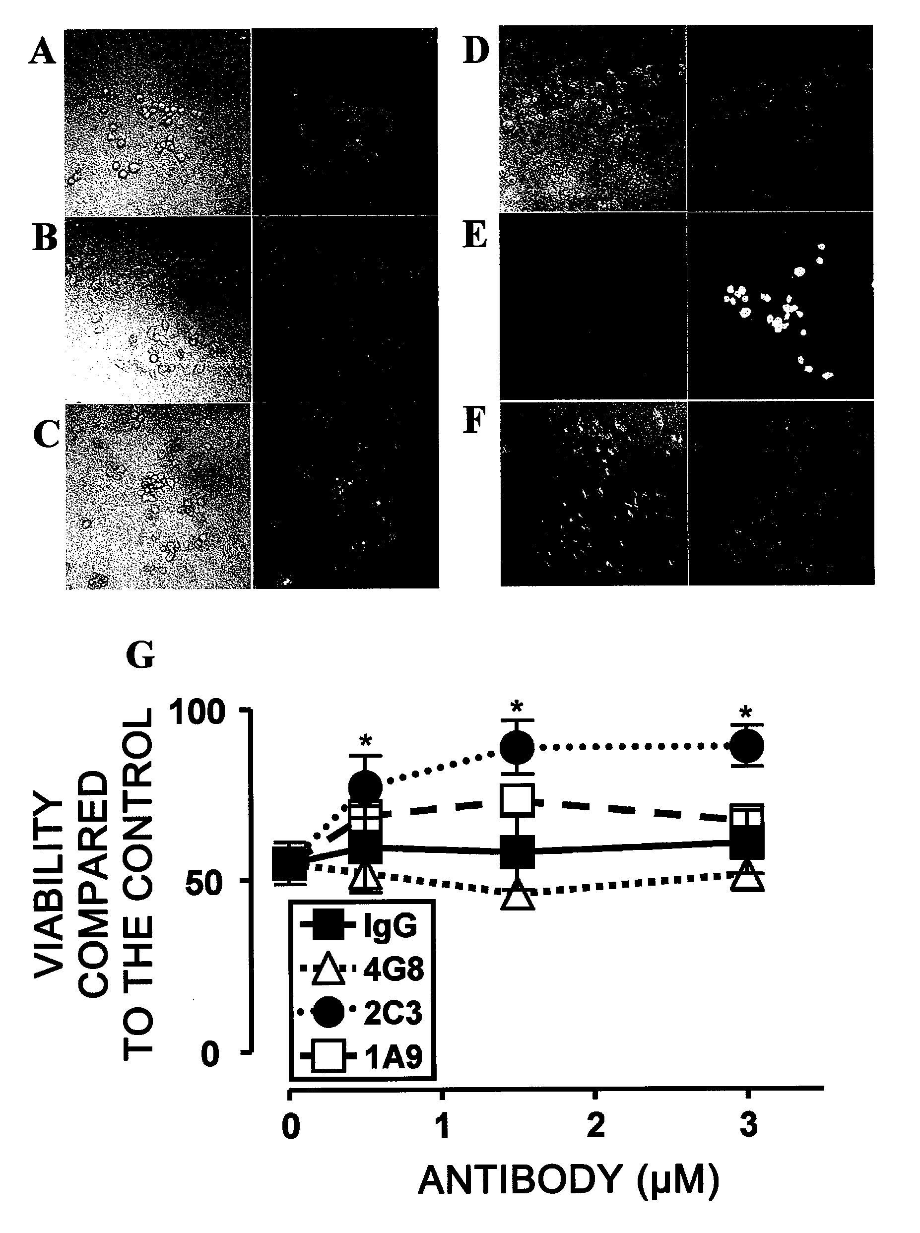 Antibody Specific Binding to A-Beta Oligomer and the Use